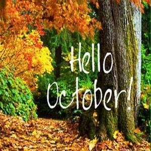 Meet your Posher, Sandy